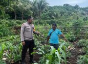 Bhabinkamtibmas Desa Olilit Raya I memotivasi Petani, dukung Ketahanan Pangan Nasional lewat sambang