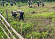 Terus dukung Ketahanan Pangan, Polres Kepulauan Tanimbar gotong royong bersihkan rumput liar