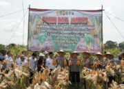 Panen Raya Jagung Hibrida, Kapolda Banten: Bentuk Nyata Upaya Bersama untuk Ketahanan Pangan