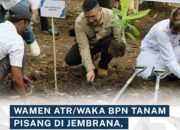 Wamen ATR/Waka BPN Tanam Pisang di Jembrana, Wujud Penataan Akses Tanah Ulayat Pertama di Indonesia