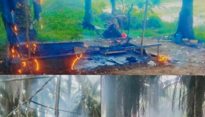 Basecamp Warga Belo laut Menambang Timah Lahan Ex PT MJU di Bakar Pihak Security