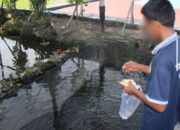 Pembinaan Kemandirian Di Bidang Perikanan Terus Ditingkatkan Di Lapas Banjarmasin