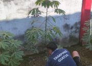 Kegiatan Pertanian Jadi Sarana Peningkatan Keterampilan Warga Binaan Lapas Banjarmasin