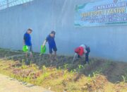 Program Pertanian Jagung Di Lapas Narkotika Karang Intan Dukung Akselerasi Ketahanan Pangan