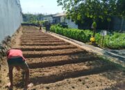 Lapas Narkotika Karang Intan Terapkan Pembinaan Produktif Berbasis Pertanian