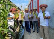 Lapas Banjarmasin Kembangkan Pertanian Jagung Sebagai Program Kemandirian