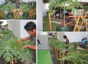 Lapas Banjarmasin Dukung Kegiatan Berkebun Berbasis Minat Warga Binaan