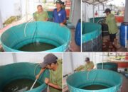 Lapas Banjarmasin Lakukan Pembersihan Kolam Bioflok Demi Kesehatan Ikan