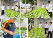Budidaya Selada Hidroponik Jadi Program Unggulan Lapas Banjarmasin