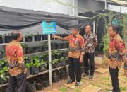 Pembinaan Kemandirian Lapas Narkotika Karang Intan Fokus Pada Budidaya Stroberi