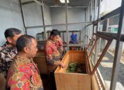 Budidaya Jangkrik Lapas Narkotika Karang Intan Dukung Ketahanan Pangan Dan Ekonomi