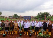 Bibit Pohon Kelapa Bernilai Ekonomis Tinggi Jadi Investasi Jangka Panjang Bagi Warga Binaan Dan Masyarakat