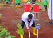 Sebanyak 360 Ribu Bibit Pohon Kelapa Ditanam Serentak Di Seluruh Indonesia