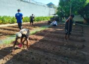 Lapas Narkotika Karang Intan Dukung Ketahanan Pangan Lewat Budidaya Kedelai