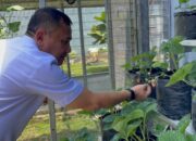 Budidaya Jangkrik, Maggot, Murai, Dan Strawberry Jadi Fokus Peninjauan Kalapas Narkotika Karang Intan