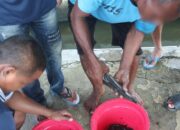 Lapas Banjarmasin Kembangkan Budidaya Ikan Lele Sebagai Upaya Pembinaan Produktif Warga Binaan