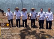 Lapas Narkotika Karang Intan Wujudkan Komitmen 13 Program Akselerasi Melalui Kegiatan Pertanian Produktif