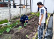 Lapas Kelas IIA Banjarmasin Tingkatkan Kemandirian WBP Melalui Pembinaan Pertanian