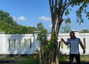 Petugas Dan Warga Binaan Lapas Narkotika Karang Intan Kompak Laksanakan Gotong Royong