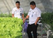 Program Hidroponik Lapas Banjarmasin Wujudkan Kemandirian Dan Produktivitas Warga Binaan