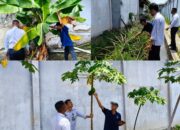 Hijaukan Lapas, WBP Banjarmasin Giat Berkebun Dukung Ketahanan Pangan Nasional