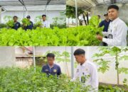 Lapas Kelas Dua A Banjarmasin Perkenalkan Hasil Pembinaan Hidroponik Kepada Publik