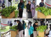Hasil Kebun Sayuran WBP Lapas Kelas II A Banjarmasin Dipasarkan Di Selasar Lapas