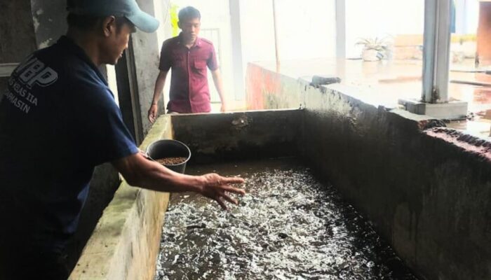 Warga Binaan Lapas Banjarmasin Antusias Ikuti Pembinaan Kemandirian Bidang Perikanan