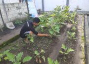 Program Pertanian Lapas Kelas IIA Banjarmasin Bangun Disiplin dan Tanggung Jawab WBP