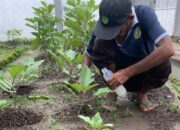 Lapas Kelas IIA Banjarmasin Tanamkan Nilai Disiplin Melalui Kegiatan Pertanian