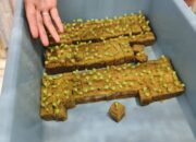 Lapas Kelas IIA Banjarmasin Kembangkan Keterampilan Pertanian Modern Bagi WBP