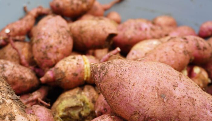 Kalapas Narkotika Karang Intan: Pembinaan SAE Buka Harapan Baru bagi Warga Binaan