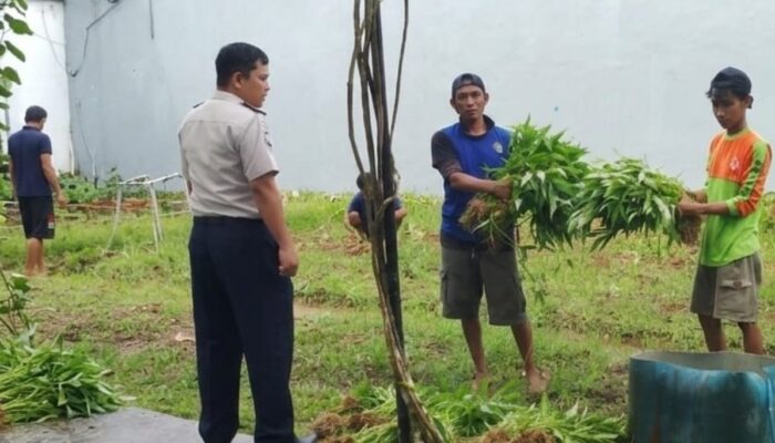 Lapas Narkotika Karang Intan Dorong Warga Binaan Produktif lewat Panen Kangkung