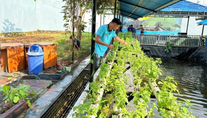 Lapas Narkotika Karang Intan Kembangkan Budidaya Mint, Hasilkan Teh Bernilai Ekonomi