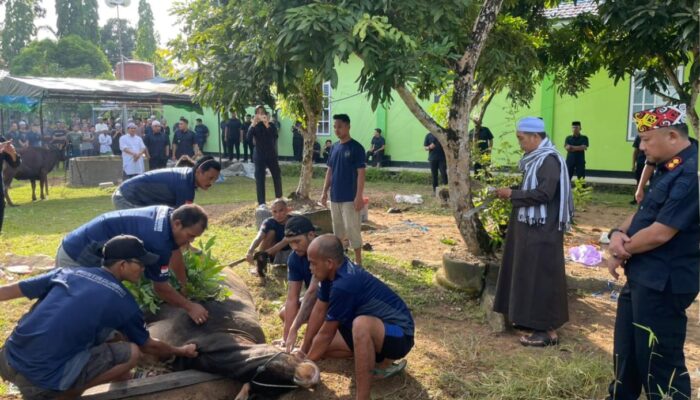 Idul Adha di Lapas Narkotika Karang Intan, Warga Binaan Ikut Proses Pemotongan Hewan Kurban