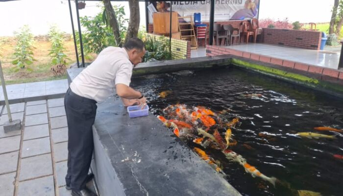 Optimalkan Kemandirian, Kalapas Karang Intan Yugo Indra Wicaksi Cek Langsung Budidaya Ikan Koi