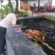 Optimalkan Kemandirian, Kalapas Karang Intan Yugo Indra Wicaksi Cek Langsung Budidaya Ikan Koi
