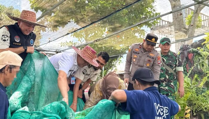 Kalapas Karang Intan Yugo Indra Wicaksi Dampingi Kepala BNNP Kalsel Panen Raya Ikan Nila