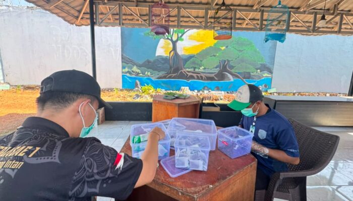Produksi Teh Mint Laskarin di Lapas Narkotika Karang Intan Latih Warga Binaan Jadi Lebih Produktif